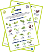 Micro Herbs