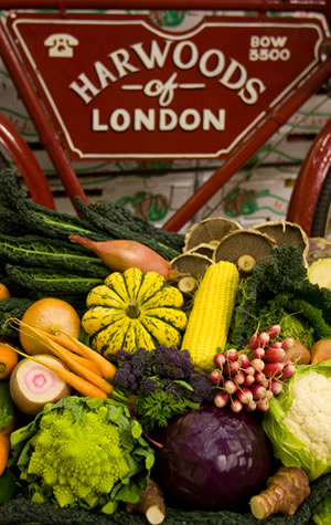 History of Harwoods Of London